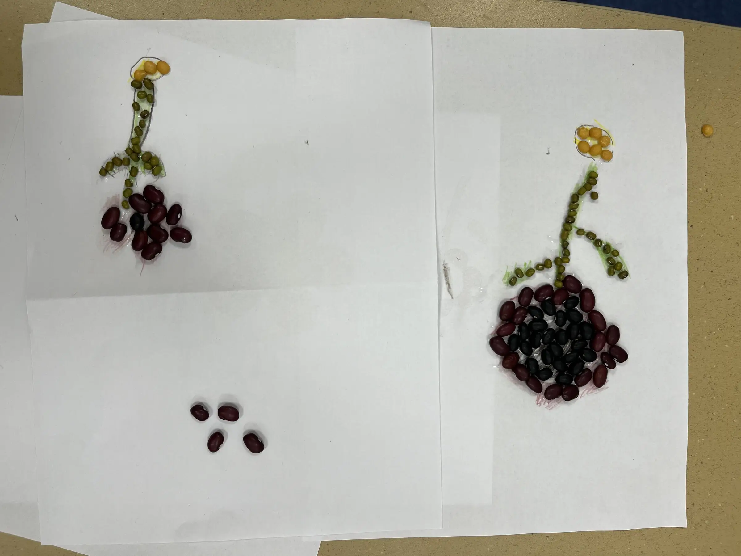 Two pictures children made by gluing dried beans onto paper: flowers on stems in red, black, green, and yellow beans