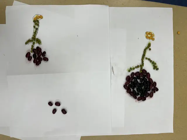 Two pictures children made by gluing dried beans onto paper: flowers on stems in red, black, green, and yellow beans